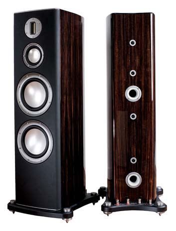 Platinum300 Rosewood